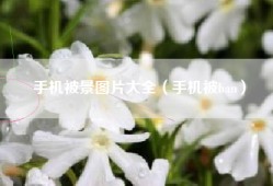 手机被景图片大全（手机被ban）
