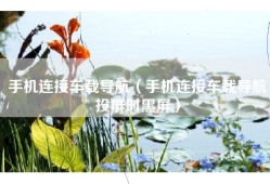手机连接车载导航（手机连接车载导航投屏时黑屏）