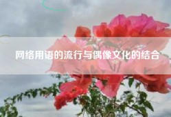 网络用语的流行与偶像文化的结合