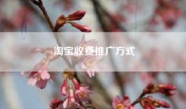 淘宝收费推广方式