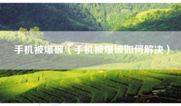 手机被爆破（手机被爆破如何解决）