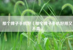 那个牌子手机好（那个牌子手机好用又不贵）