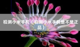 检测小米手机（检测小米手机是不是正品）