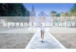 业务管理系统开发：驱动企业高效运营的创新引擎