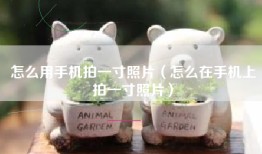 怎么用手机拍一寸照片（怎么在手机上拍一寸照片）