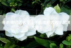 手机维修店名字（手机维修店名字品牌大全）