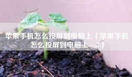 苹果手机怎么投屏到电脑上（苹果手机怎么投屏到电脑上win7）