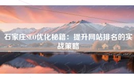石家庄SEO优化秘籍：提升网站排名的实战策略