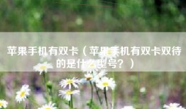 苹果手机有双卡（苹果手机有双卡双待的是什么型号？）