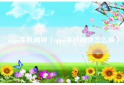 oppo手机闹钟（oppo手机闹钟怎么换）