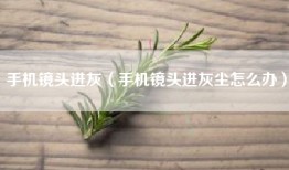 手机镜头进灰（手机镜头进灰尘怎么办）
