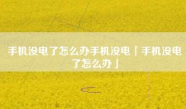 手机没电了怎么办手机没电「手机没电了怎么办」