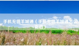 手机充值羊城通（手机充值羊城通怎么充值）