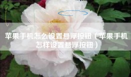 苹果手机怎么设置悬浮按钮（苹果手机怎样设置悬浮按钮）
