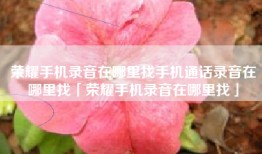 荣耀手机录音在哪里找手机通话录音在哪里找「荣耀手机录音在哪里找」