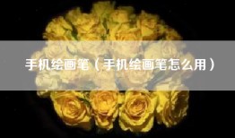 手机绘画笔（手机绘画笔怎么用）