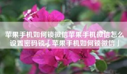 苹果手机如何锁微信苹果手机微信怎么设置密码锁「苹果手机如何锁微信」