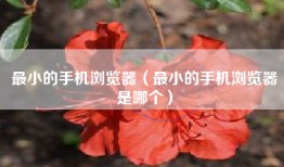 最小的手机浏览器（最小的手机浏览器是哪个）