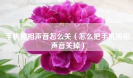 手机照相声音怎么关（怎么把手机照相声音关掉）