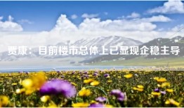 贾康：目前楼市总体上已显现企稳主导