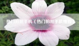 热门拍照手机（热门拍照手机推荐）