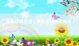 手机存储使用（手机存储使用寿命）