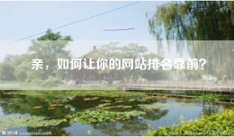 亲，如何让你的网站排名靠前？