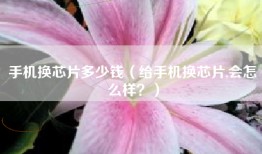 手机换芯片多少钱（给手机换芯片,会怎么样？）