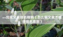 seo优化文章排名规则（怎么做文章才能使排名靠前）