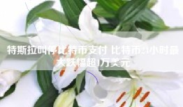 特斯拉叫停比特币支付 比特币24小时最大跌幅超1万美元