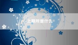 上期所是什么