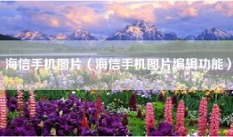 海信手机图片（海信手机图片编辑功能）