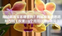 网站做淘宝客赚钱吗？网站淘客的思路和方向（权重4一个月可以赚3-5W元）