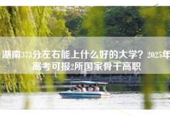 湖南373分左右能上什么好的大学？2025年高考可报2所国家骨干高职