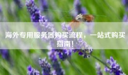 海外专用服务器购买流程，一站式购买指南！