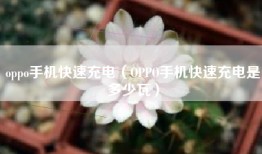 oppo手机快速充电（OPPO手机快速充电是多少瓦）