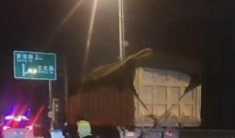 货车司机在郑州一高架桥遇检后跳桥，官方回应；确有此事