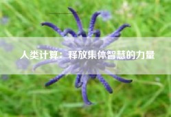 人类计算：释放集体智慧的力量