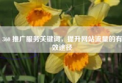 360 推广服务关键词，提升网站流量的有效途径