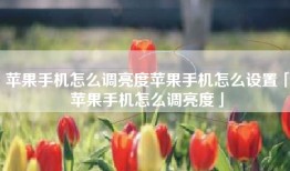 苹果手机怎么调亮度苹果手机怎么设置「苹果手机怎么调亮度」