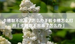 卡槽取不出来了怎么办手机卡槽怎么打开「卡槽取不出来了怎么办」