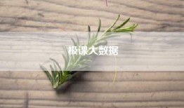 极课大数据