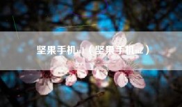 坚果手机u1（坚果手机u2）