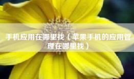 手机应用在哪里找（苹果手机的应用管理在哪里找）