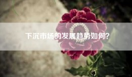 下沉市场的发展趋势如何？