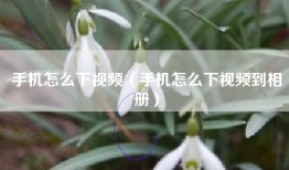 手机怎么下视频（手机怎么下视频到相册）