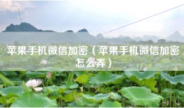 苹果手机微信加密（苹果手机微信加密怎么弄）