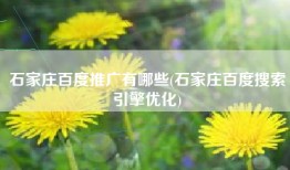 石家庄百度推广有哪些(石家庄百度搜索引擎优化)