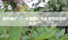 搜狗推广——大数据、大流量的精准移动推广