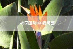 社区团购O2O新零售